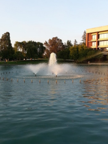 Civic Center Fountain - Fairfield, CA.jpg