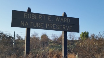 Robert Ward Nature Preserve - Fullerton, CA.jpg