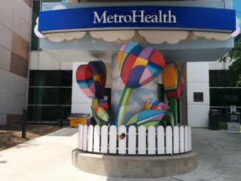 Metro Health Flower Statue - Cleveland, OH.jpg