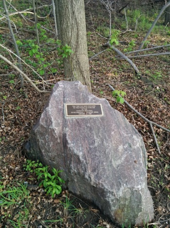People Of Hamilton Dedication Tree - Hamilton, ON.jpg