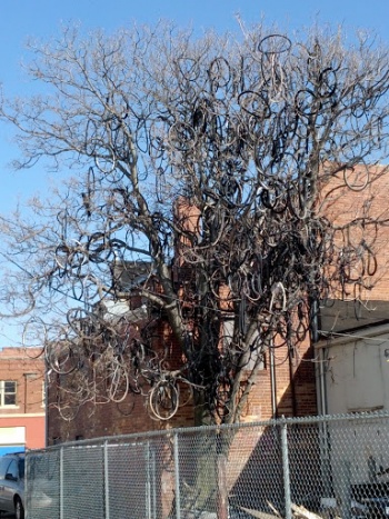 Bicycle Hoop Tree - Wichita, KS.jpg