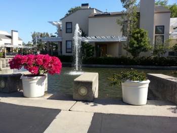 Fountain in a Small Pond - Irvine, CA.jpg