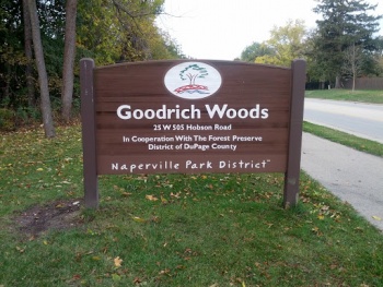 Goodrich Woods - Naperville, IL.jpg