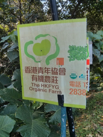The HKFYG Organic Farm - Hong Kong, Hong Kong.jpg