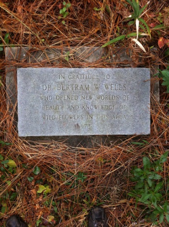 Dr. Wells Memorial - Wilmington, NC.jpg