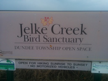Jelke Creek Bird Sanctuary - Sleepy Hollow, IL.jpg