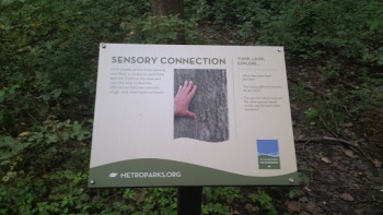 Sensory Connection - Dayton, OH.jpg