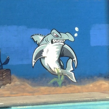 Kush Shark - Inglewood, CA.jpg