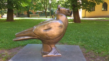Duvan - Stockholm, Stockholms län.jpg