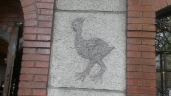 El Gallo - Madrid, Comunidad de Madrid.jpg