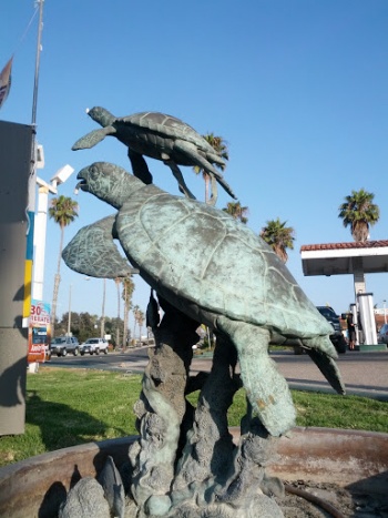 Flying Turtles - Ventura, CA.jpg