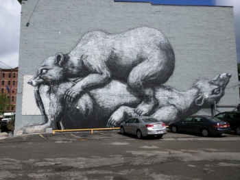 Sleeping Bears - Rochester, NY.jpg