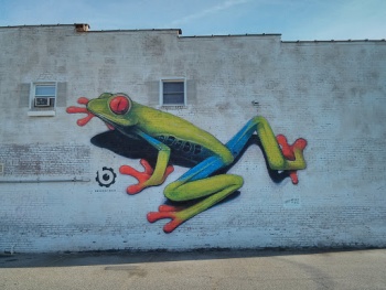 Tree Frog Mural - High Point, NC.jpg