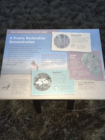 Ann Armstrong Pocket Park - Boulder, CO.jpg