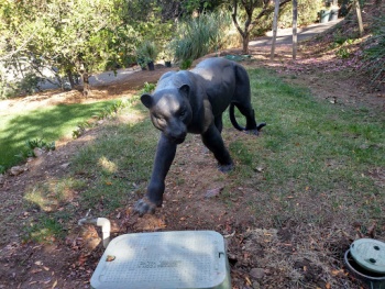 Panther Sculpture - El Cajon, CA.jpg