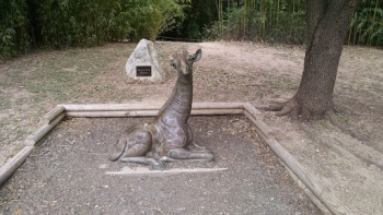 Baby Giraffe Sculpture - Waco, TX.jpg