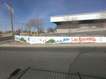 Life Brings Beauty - Las Cruces, NM.jpg