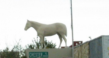 Specialty Pet Grooming White Stallion - Bakersfield, CA.jpg