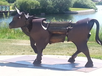 Bull at Webster Lake - Northglenn, CO.jpg