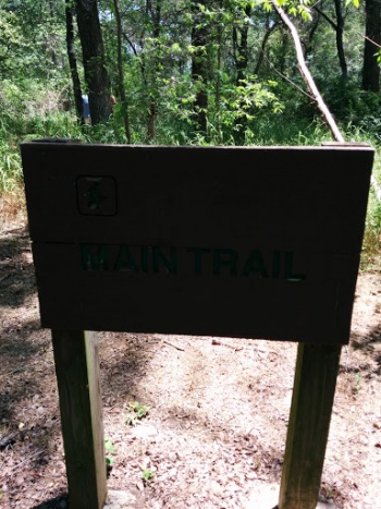 Main Trail - Carrollton, TX.jpg
