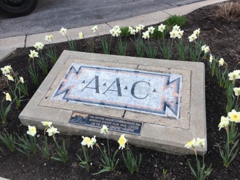 AAC - Cincinnati, OH.jpg