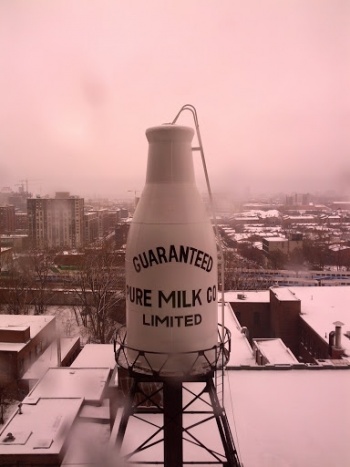 Montreal Guaranteed Pure Milk - Montréal, QC.jpg