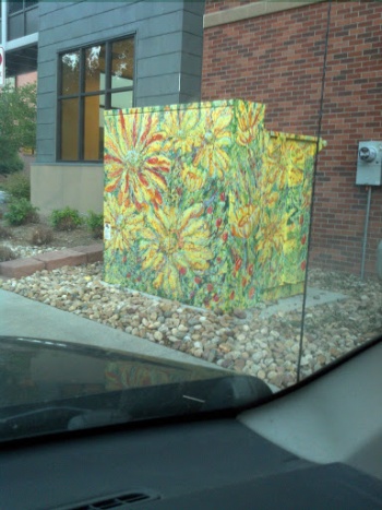 Dandelion Power Box Graffiti - Fort Collins, CO.jpg