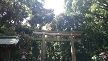 Ææ²»ç¥å®® åé³¥å± - Shibuya-ku, Tōkyō-to.jpg