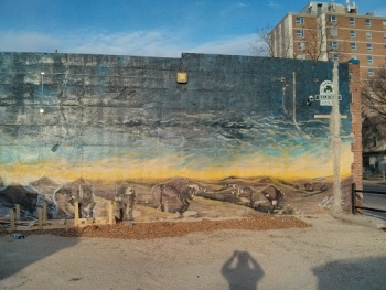 Buffalo Roam Mural - Winnipeg, MB.jpg