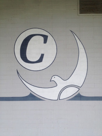 C Dove Mural - Huntington Beach, CA.jpg