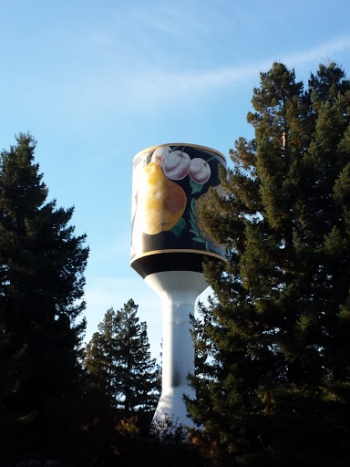 Huge can of Libby's Fancy Fruit - Sunnyvale, CA.jpg