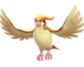 Pidgeot.png