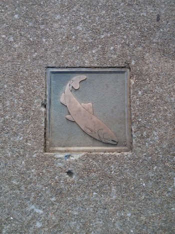Fish Tile - Chattanooga, TN.jpg
