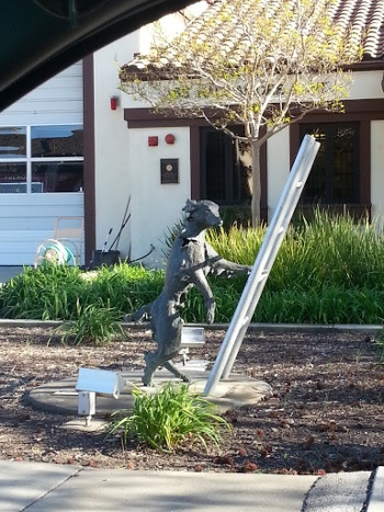Fremont Fire Station - Dog Ladder - Fremont, CA.jpg