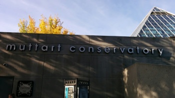 Muttart Conservatory - Edmonton, AB.jpg