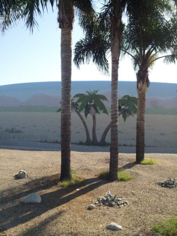 Palms behind the Palms - Rialto, CA.jpg