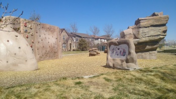 Rock Climbing Walls - Denver, CO.jpg