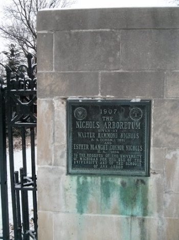 The Nichols Arboretum - Ann Arbor, MI.jpg
