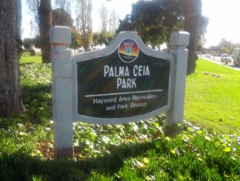 Palma Ceia Park - Hayward, CA.jpg