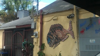 Nauti Nancy Fish Mural - Clearwater, FL.jpg