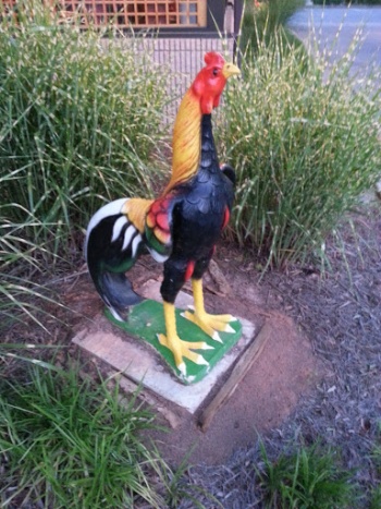 Rooster Statue - Cary, NC.jpg