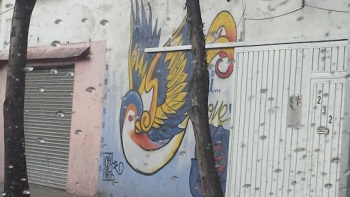 Grafiti Libertad Del Gorrion - Ciudad de México, CDMX.jpg