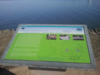 Seal Point - San Mateo, CA.jpg
