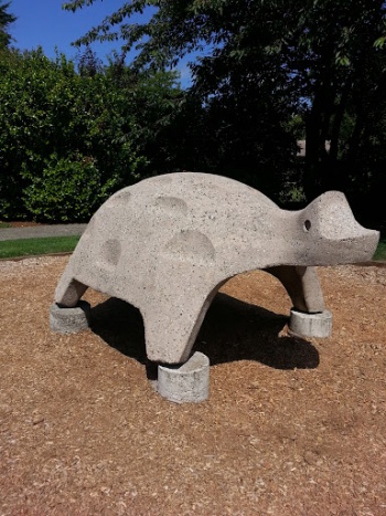 Renton Library Turtle - Renton, WA.jpg