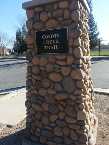 Coyote Creek Trail - San Jose, CA.jpg