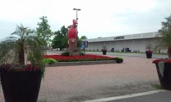 Giant Cardinal - Columbus, OH.jpg