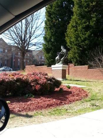 Ram Statue - Winston-Salem, NC.jpg