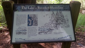 The Lake's Receding Shoreline - Bellevue, WA.jpg