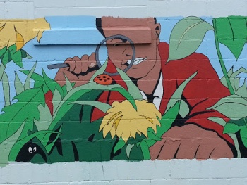 Bug Mural - South Bend, IN.jpg