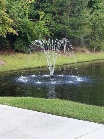 Graham Fountain - Savannah, GA.jpg